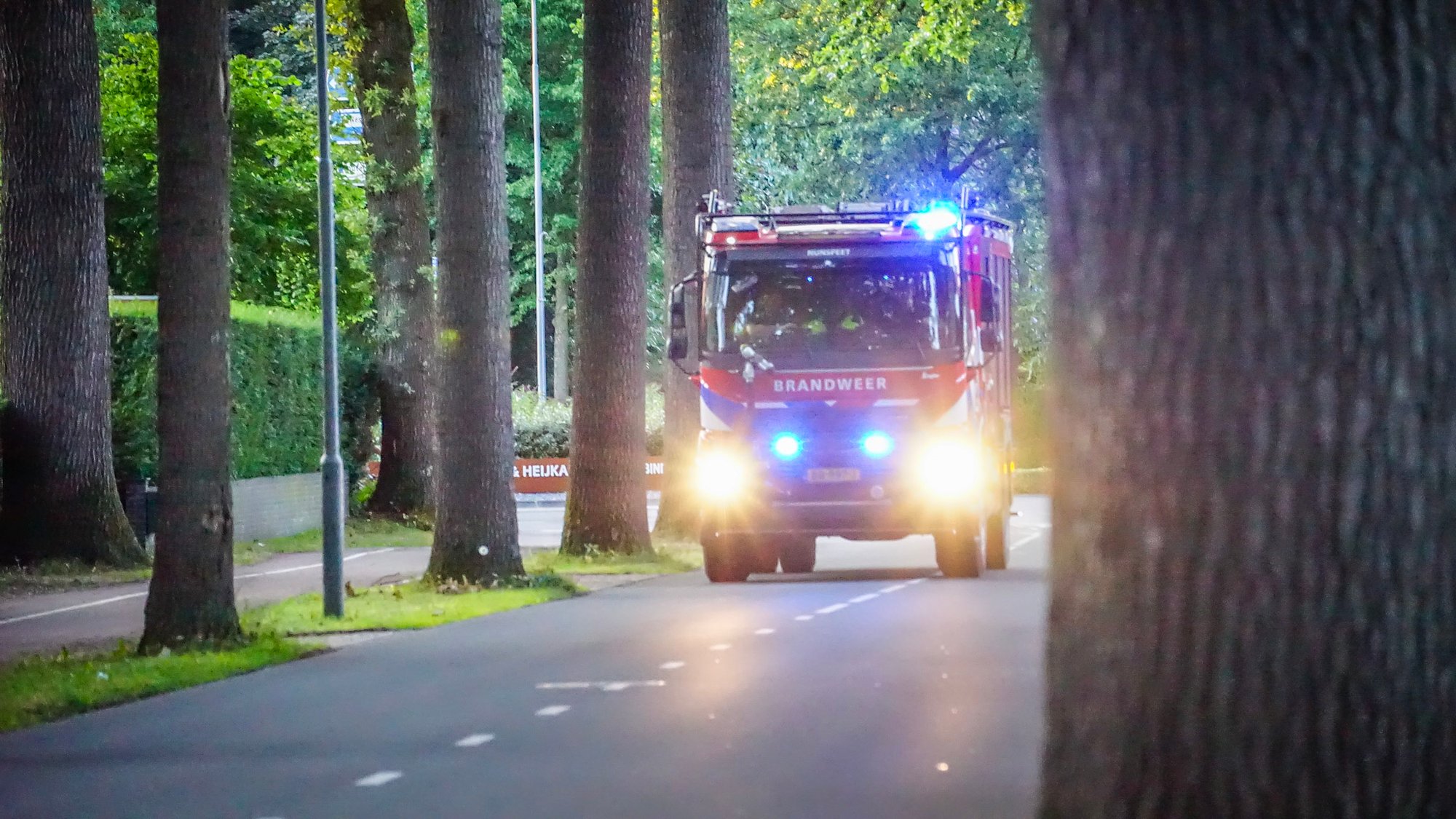 Brandweer blust brand in bosjes aan Laan van Vollenhove in Zeist