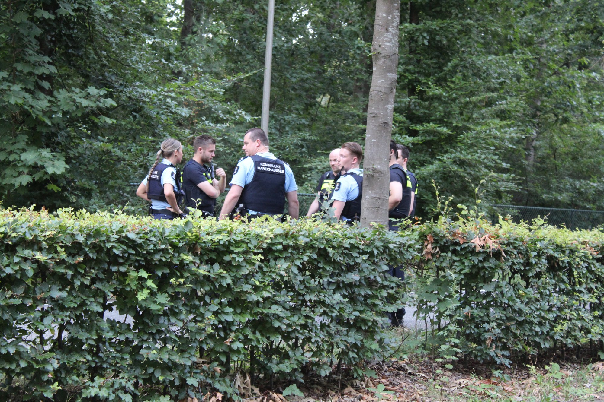 Motorrijder gewond na botsing tegen boom op Krakelingweg in Zeist